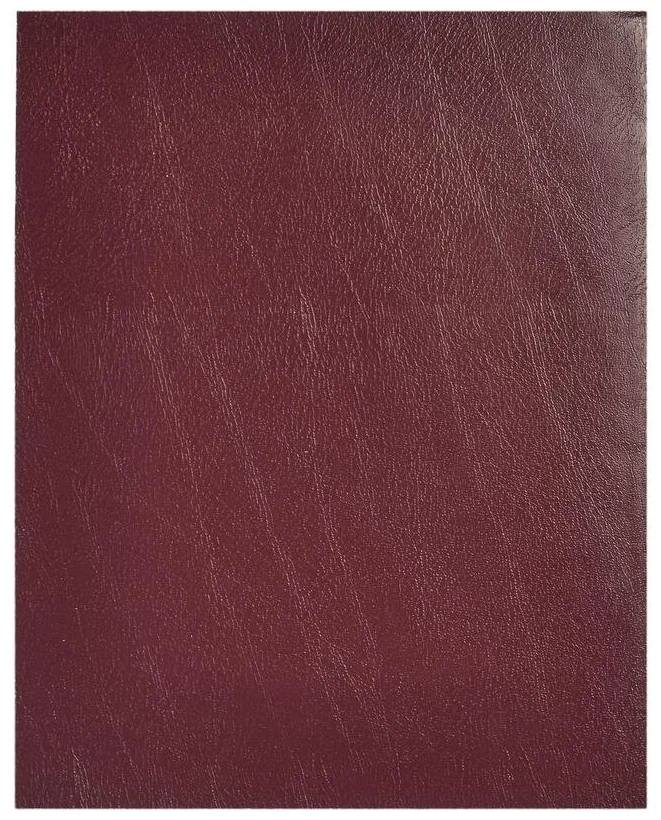 Тетрадь А5 48л клетка BG, бумвинил